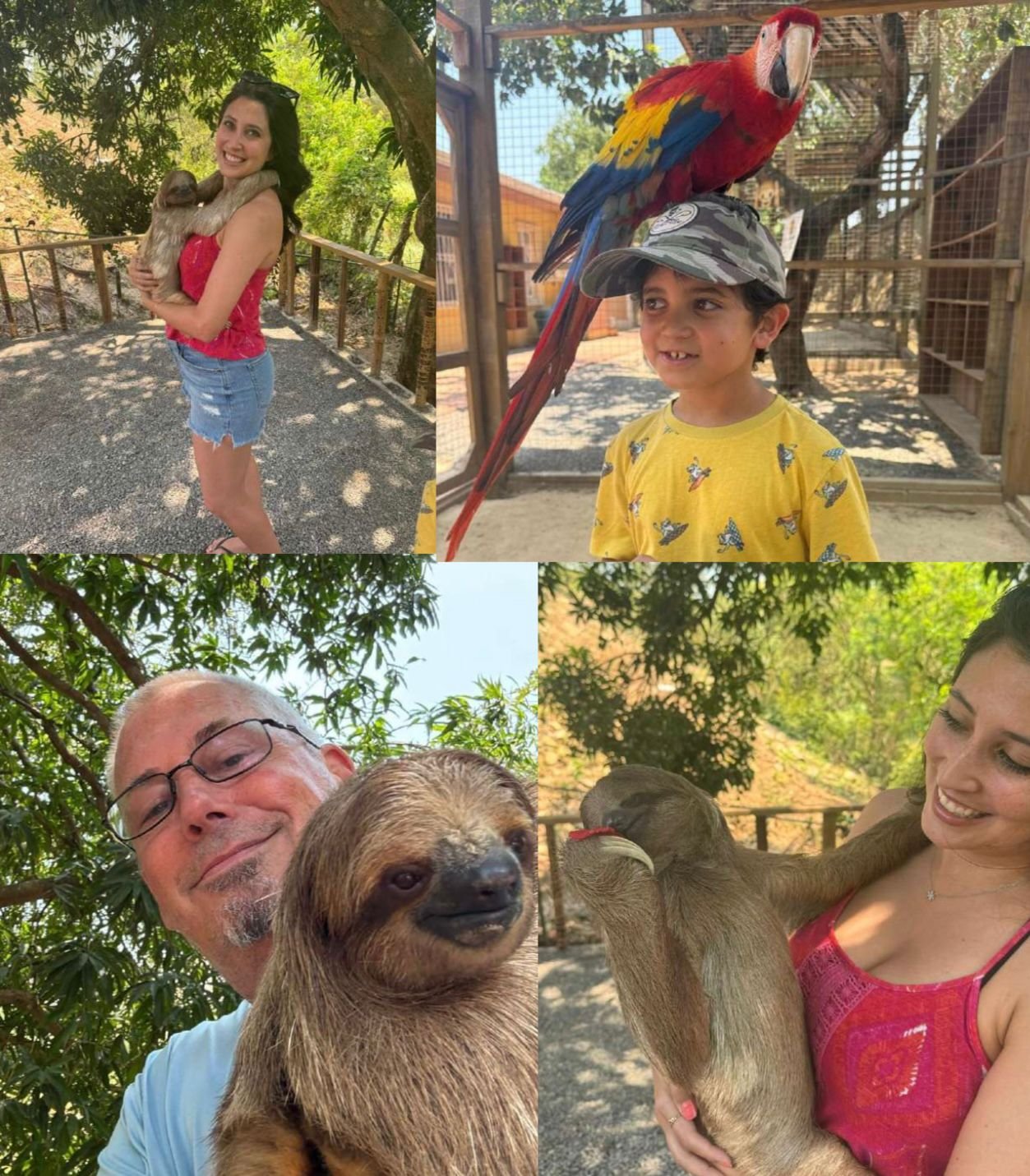 Paquete Monkey and sloth hangout + West Bay beach break