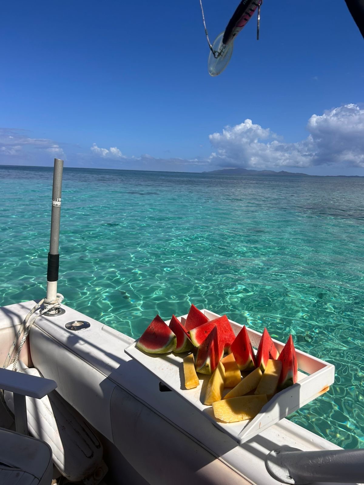 Paquete Catamaran Tour (Includes snacks, drinks, and snorkeling)