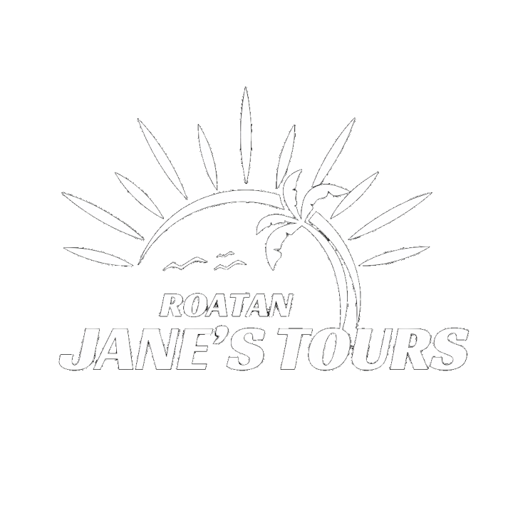 Jane's Tours Logo